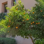Serenity In La Palmeraie 2Br Apartment